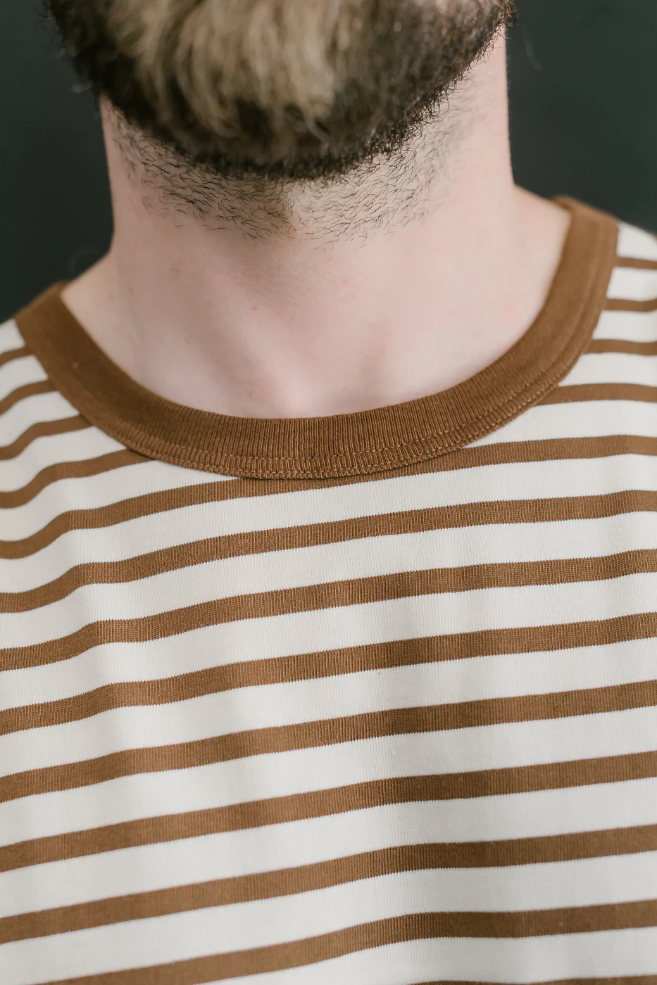 2M14.1202 - 6.8oz Circular Knit Relaxed Fit Stripe T-Shirt - Chestnut, Nature - Image 15