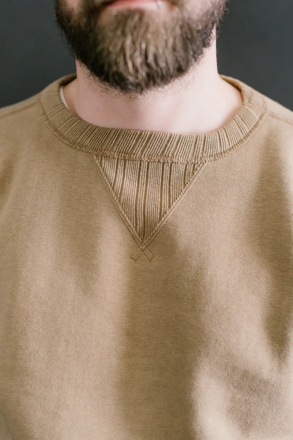 3741SP - Double V Set In Sleeve Crewneck Mother Cotton - Beige - Image 15
