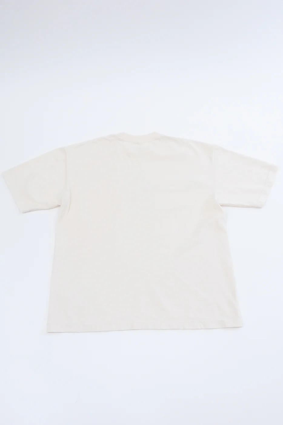 6.5oz - Dant "Blue Footed Booby" T-Shirt - Ecru - Image 7