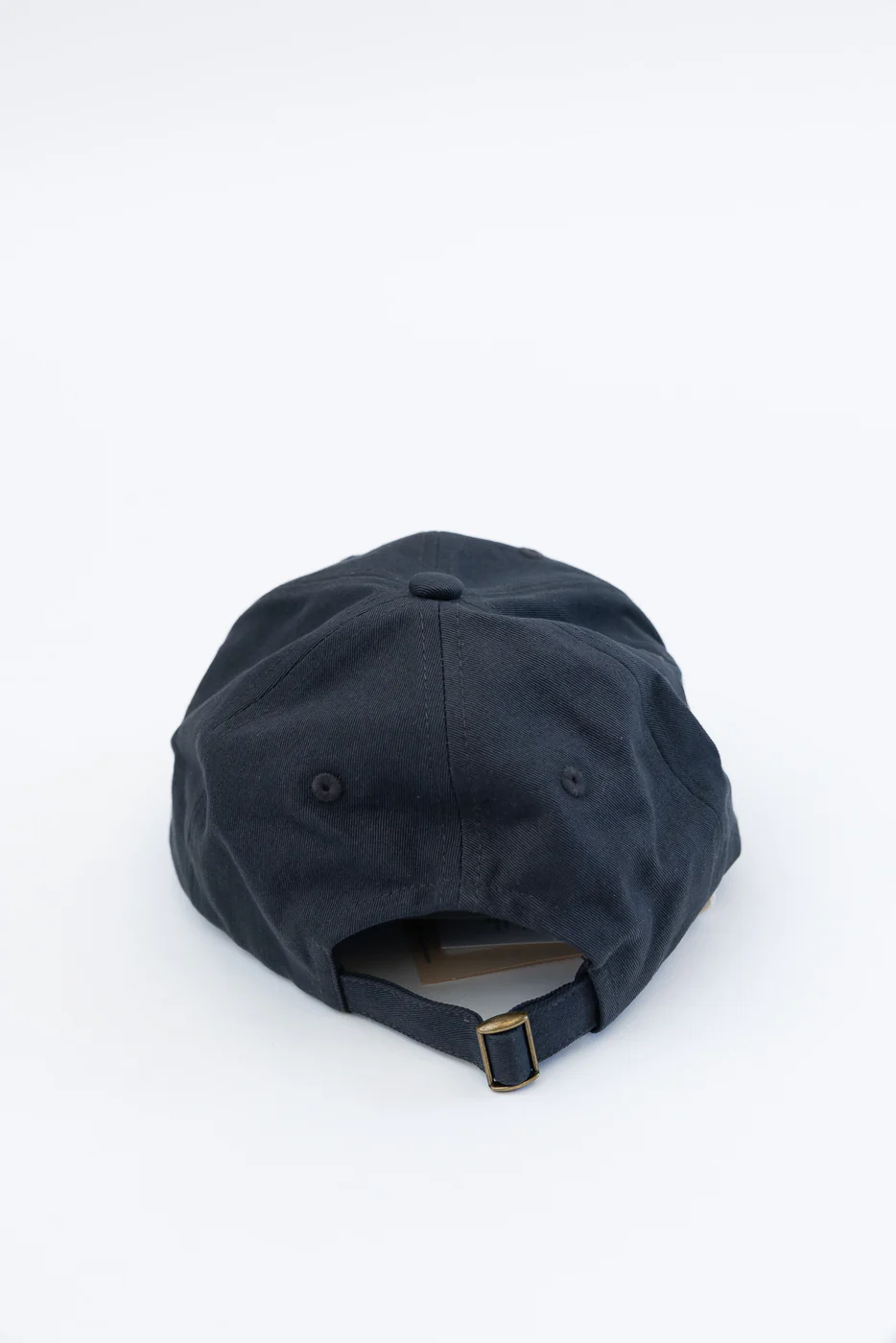 CAP01.98 - Swan Logo Cotton Twill Cap - Charcoal, Rosewood - Image 4