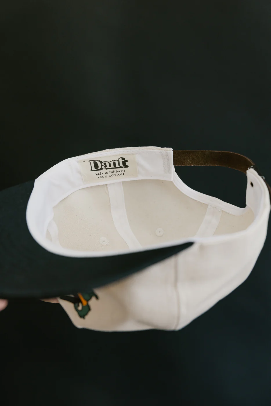 Dant "Blue Footed Booby" Cap - Ecru x Black - Image 16