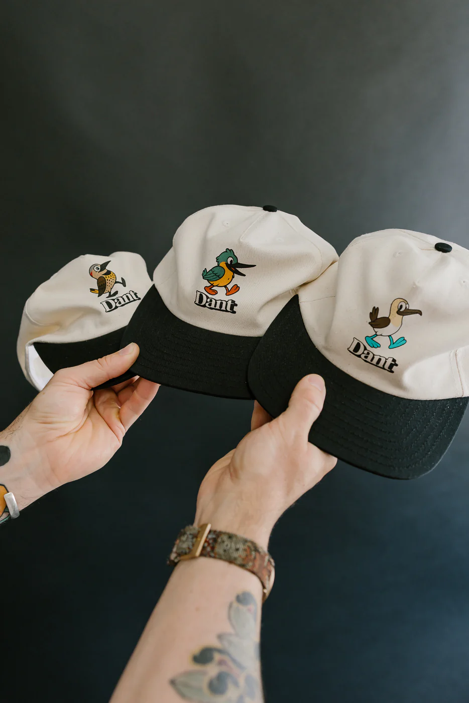 Dant "Blue Footed Booby" Cap - Ecru x Black - Image 18