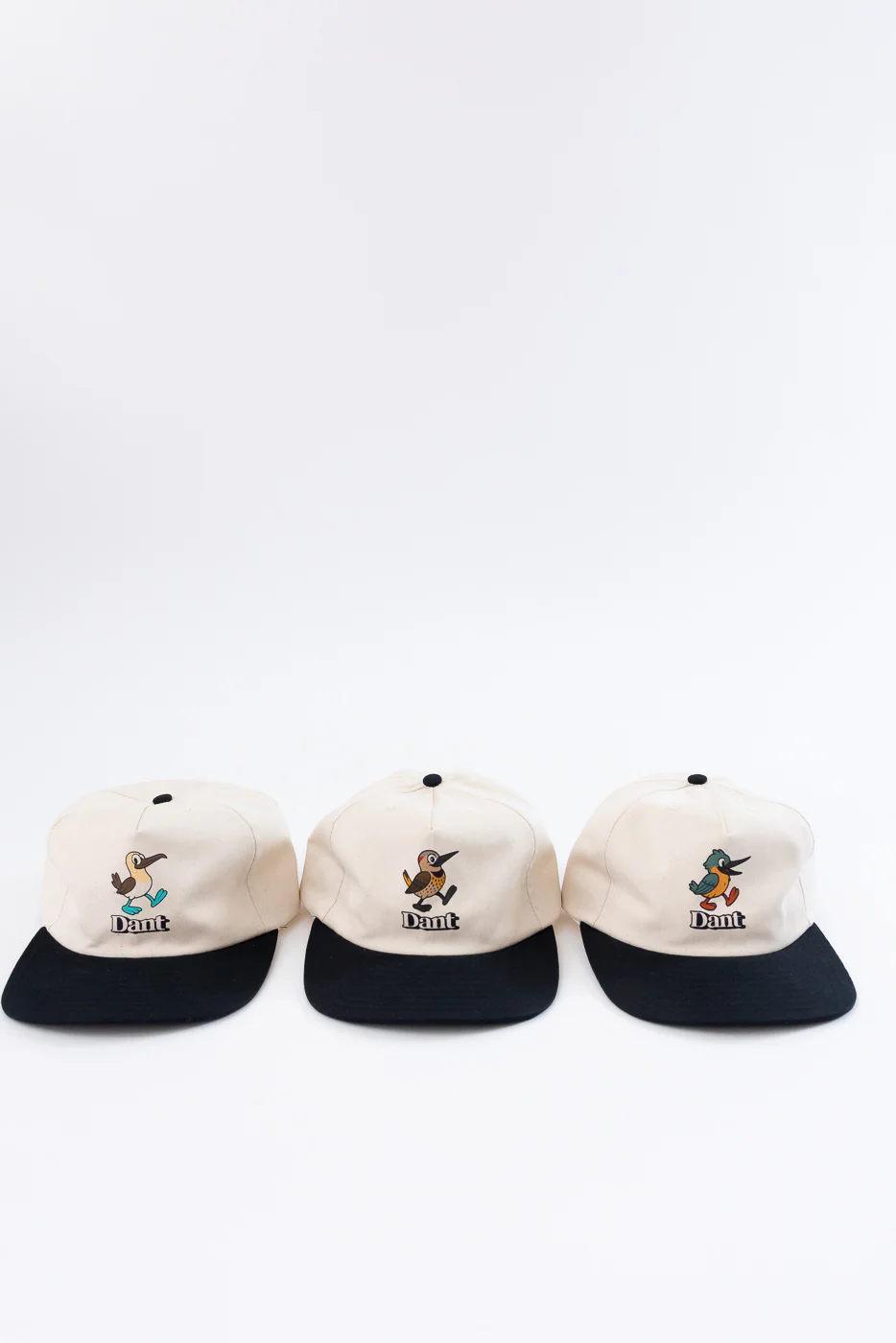 Dant "Blue Footed Booby" Cap - Ecru x Black - Image 20