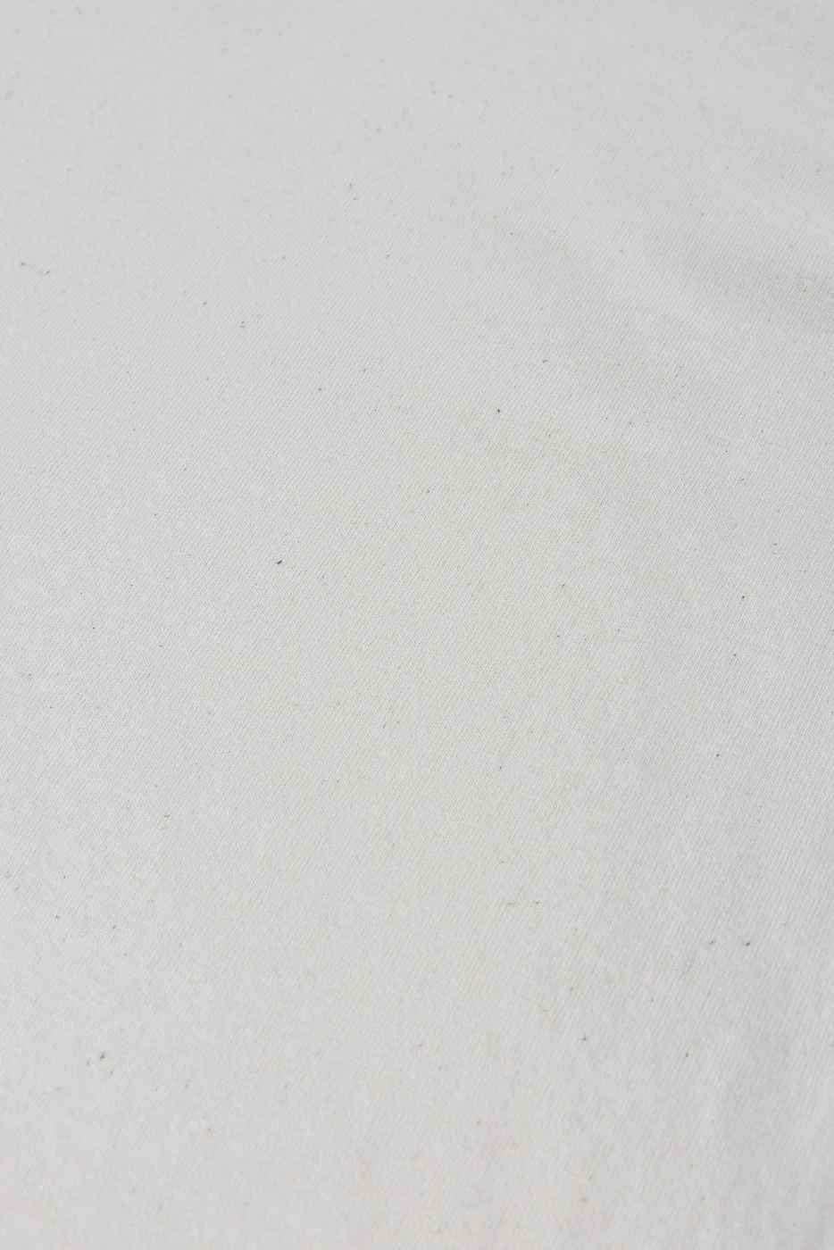 ELS Recycled Cotton Slub Crewneck T-Shirt - Ecru - Image 4