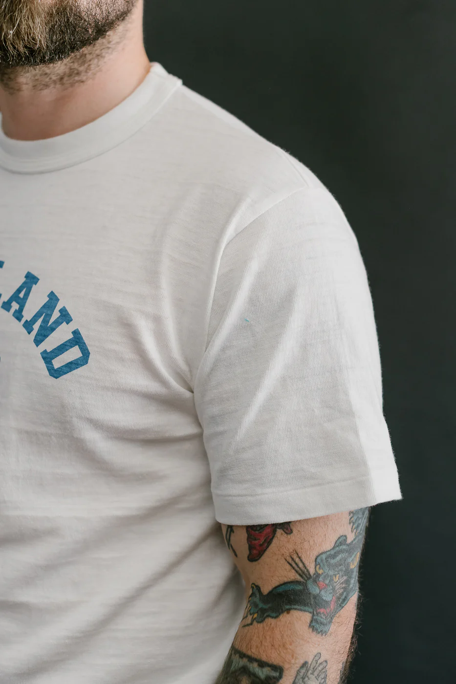 Lot 4601 - Highland Print T-Shirt - Off White, Blue - Image 16