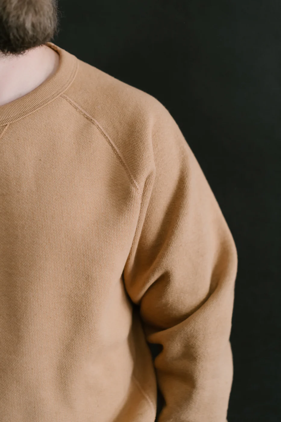 Pullover Crewneck - Double Heavyweight French Terry Foxfibre® - Coyote 80 - Image 18